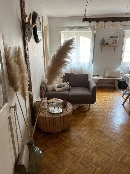 Appartement Carmes, Hypercentre Toulouse Ngoại thất bức ảnh